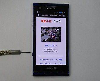 スマホ　富士通製の「REGZA Phone」T-02D