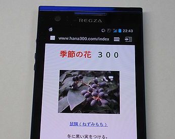 スマホ　富士通製の「REGZA Phone」T-02D