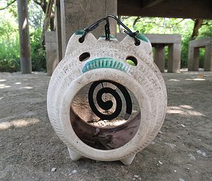 ジョチュウギク、カトリセンコウ