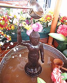 アマチャ、灌仏会（かんぶつえ）の甘茶かけ