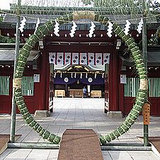 チガヤ、茅の輪（ちのわ）