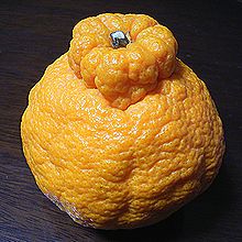 デコポン