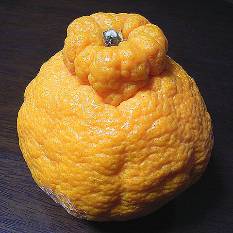 デコポン
