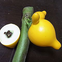フォックスフェース、ツノナス