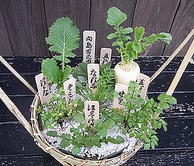 春の七草、七草籠