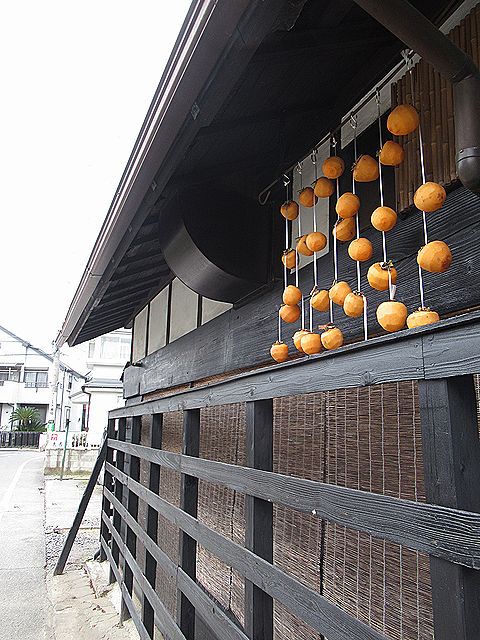 カキ