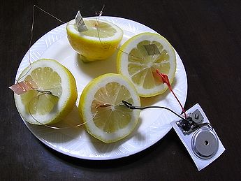 レモン電池の実験