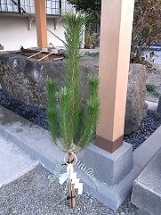 門松
