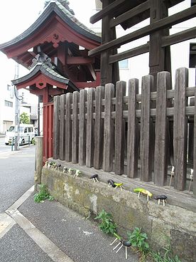 精霊馬、ショウリョウウマ、ナス