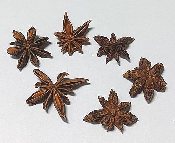 ハッカク、スターアニス、トウシキミ