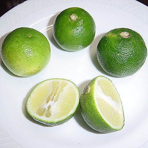 スダチ