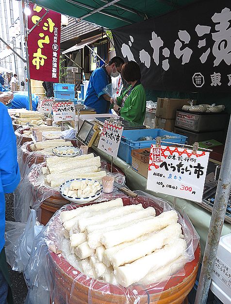 スズシロ、ダイコン