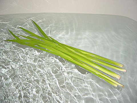 ショウブ、しょうぶ湯