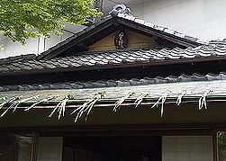 季節の花300の表紙の軒菖蒲（のきしょうぶ）