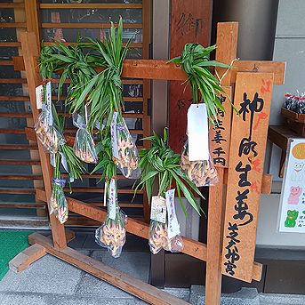 ショウガ、芝大神宮の「だらだら祭り」