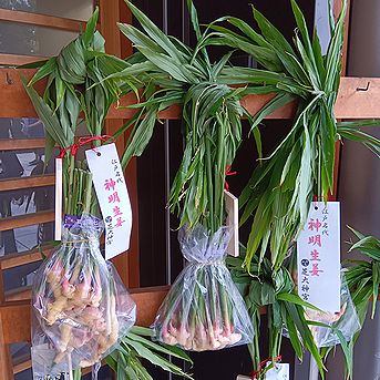 ショウガ、芝大神宮の「だらだら祭り」