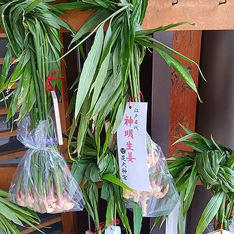 ショウガ、芝大神宮の「だらだら祭り」