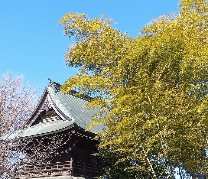 高安寺の山門と、竹の葉っぱ