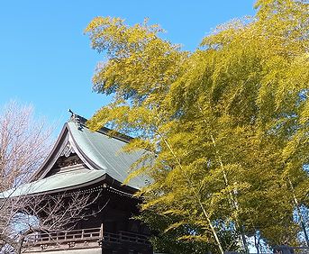 タケ
