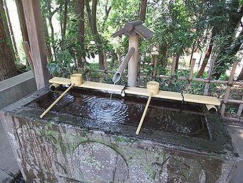 タケ、神社、手水場