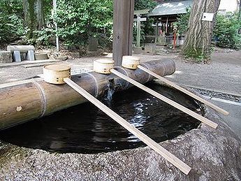 タケ、神社、手水場