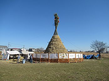 タケ、どんど焼き、サイト