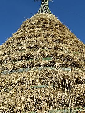 タケ、どんど焼き、サイト