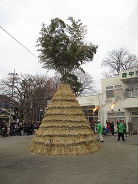 タケ、どんど焼き、サイト