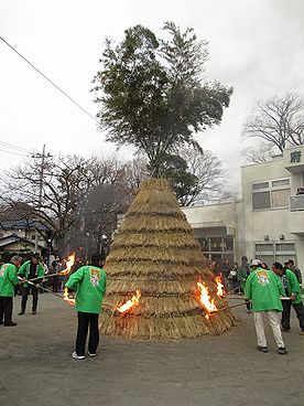 タケ、どんど焼き、サイト