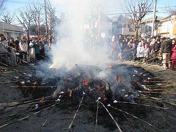 タケ、どんど焼き、サイト