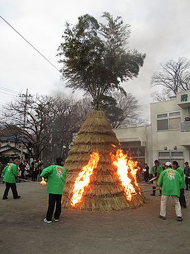 タケ、どんど焼き、サイト