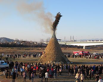 タケ、どんど焼き、サイト