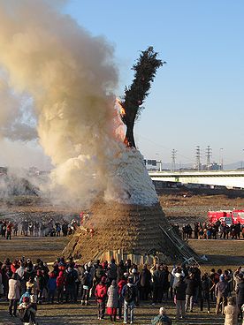 タケ、どんど焼き、サイト