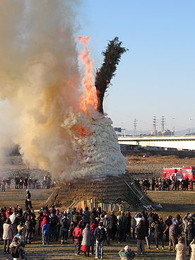 タケ、どんど焼き、サイト