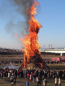 タケ、どんど焼き、サイト