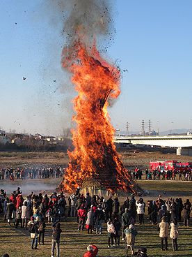 タケ、どんど焼き、サイト