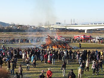 タケ、どんど焼き、サイト