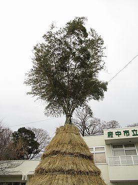 タケ、どんど焼き、サイト