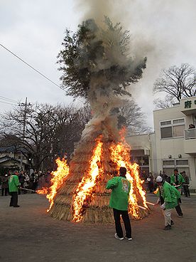 タケ、どんど焼き、サイト