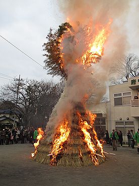 タケ、どんど焼き、サイト