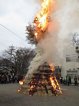 タケ、どんど焼き、サイト