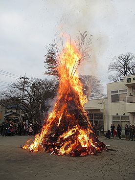 タケ、どんど焼き、サイト