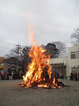 タケ、どんど焼き、サイト