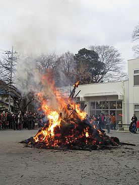 タケ、どんど焼き、サイト