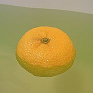 ユズ、ゆず湯