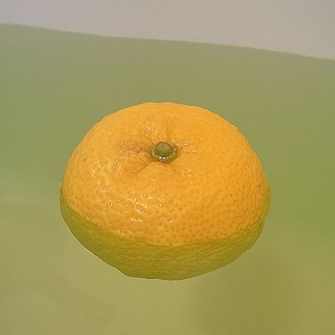 ユズ、ゆず湯
